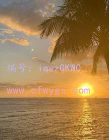 ҵ