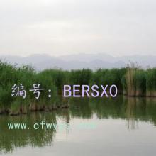 ΢