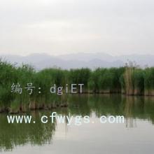 赸