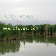 ʦ