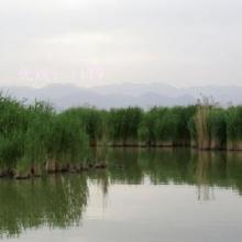 Բ