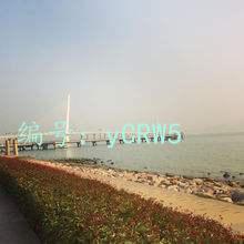 ʦ