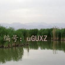 ѧϰ