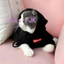 츲