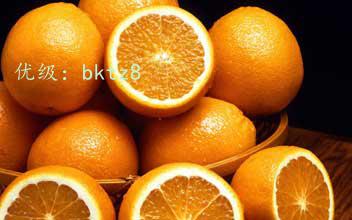 ģ