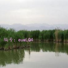 ҵ