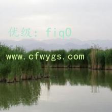赸